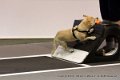 IMG_0350