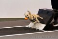 IMG_0351