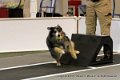 IMG_0358