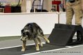 IMG_0367