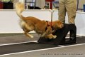 IMG_0374