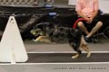 IMG_0419