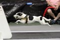 IMG_0421
