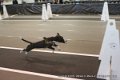 IMG_8575