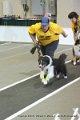 IMG_8584