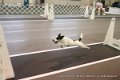 IMG_8637