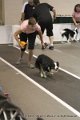 IMG_8657