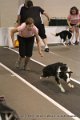 IMG_8658