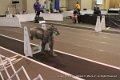 IMG_8707