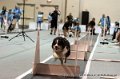 IMG_8722