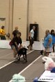 IMG_8729