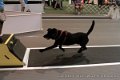 IMG_8733
