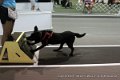 IMG_8734