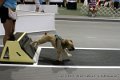 IMG_8744