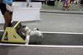 IMG_8747