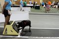 IMG_8753
