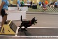 IMG_8754