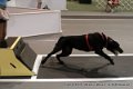 IMG_8755