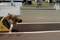 IMG_8759
