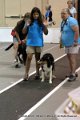 IMG_8779