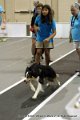 IMG_8781