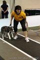 IMG_8810