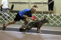 IMG_8816