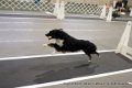 IMG_8822