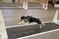 IMG_8829