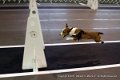 IMG_8839