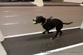 IMG_8886