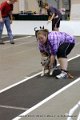 IMG_8993