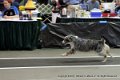 IMG_9001