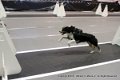 IMG_9061