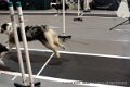 IMG_9067