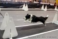 IMG_9079