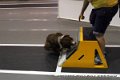 IMG_9099