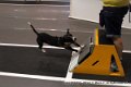 IMG_9108