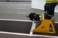 IMG_9109