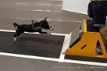 IMG_9125