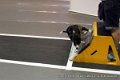 IMG_9127