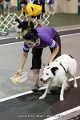 IMG_9153