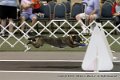 IMG_9226