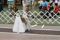 IMG_9231