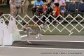 IMG_9232