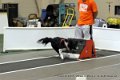 IMG_9285
