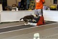 IMG_9290