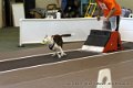 IMG_9293