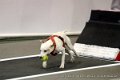 IMG_9323