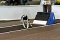 IMG_9381